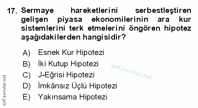 Soru 17
