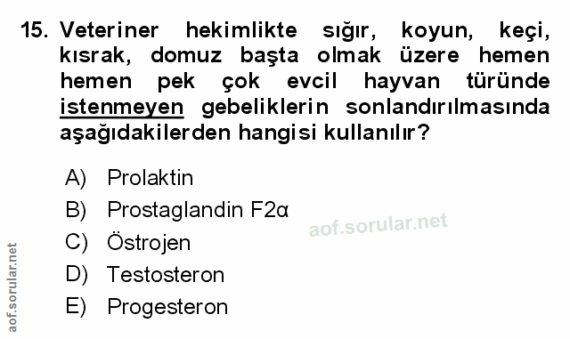 Soru 15
