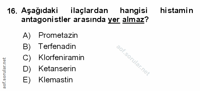 Soru 16