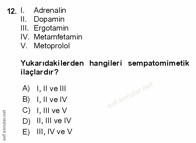 Soru 12
