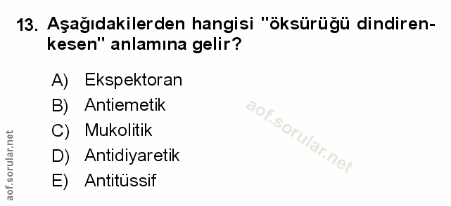 Soru 13
