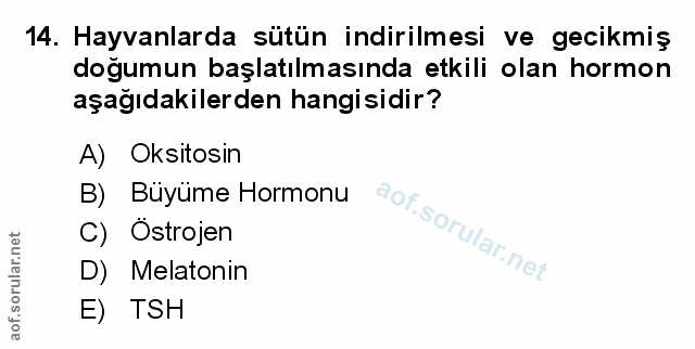 Soru 14