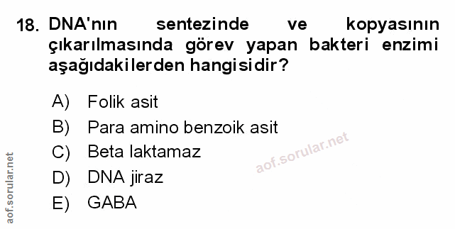 Soru 18