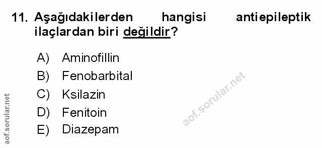 Soru 11