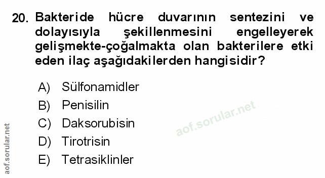 Soru 20