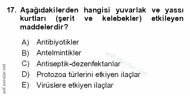 Soru 17