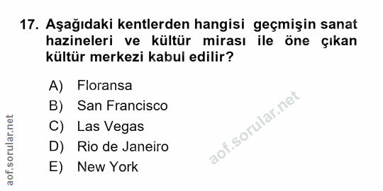 Soru 17
