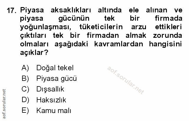 Soru 17