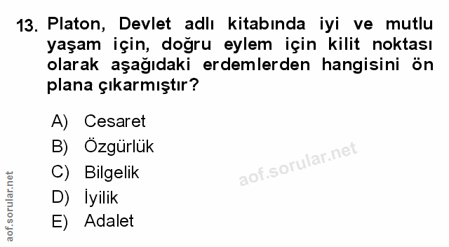 Soru 13