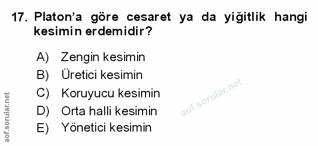 Soru 17