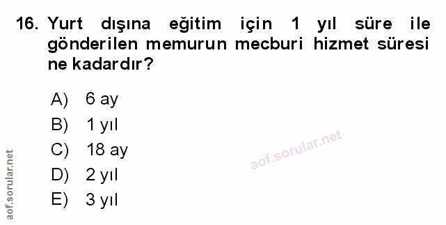 Soru 16
