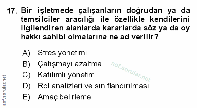 Soru 17