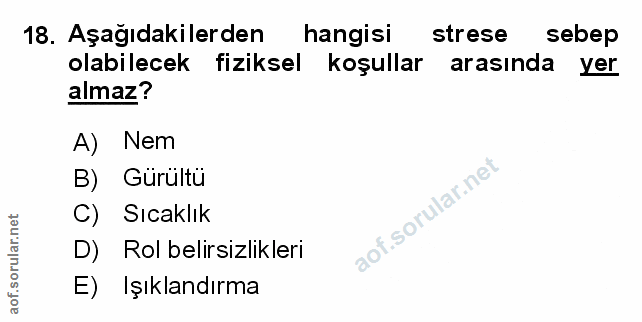 Soru 18