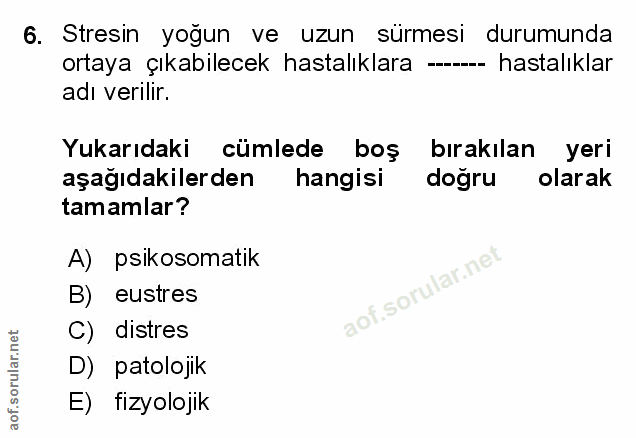 Soru 6