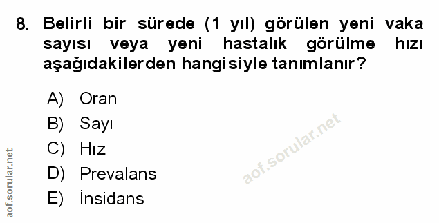 Soru 8