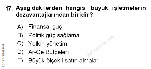Soru 17