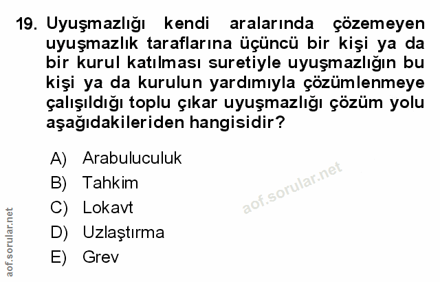 Soru 19