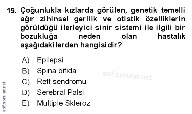 Soru 19