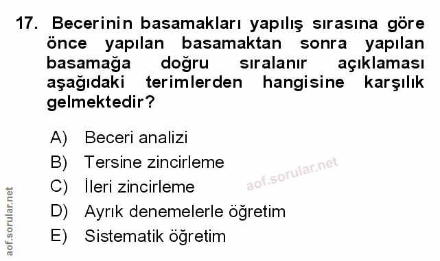 Soru 17