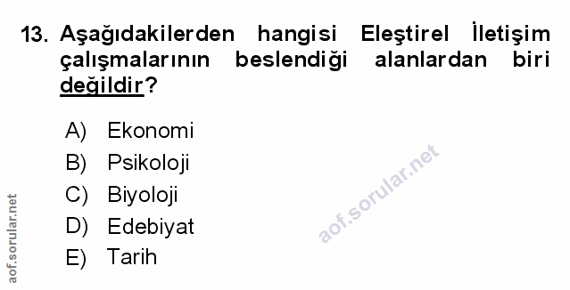Soru 13