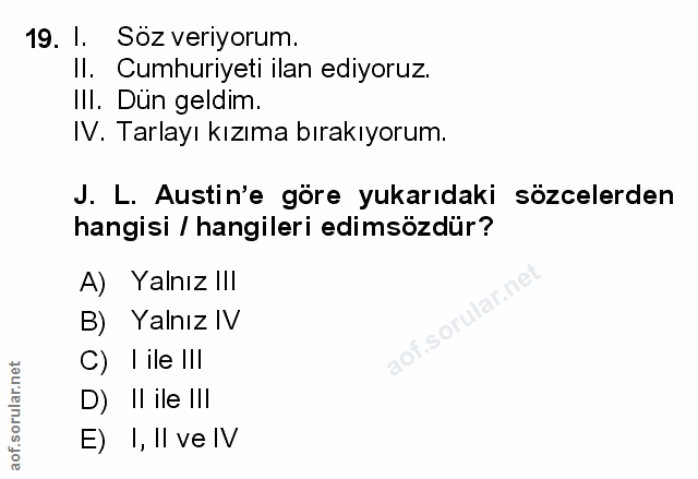 Soru 19