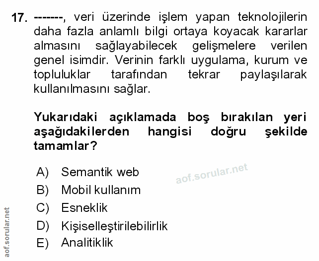 Soru 17
