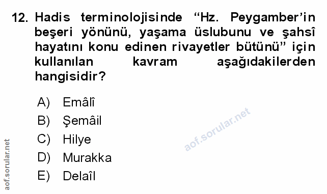 Soru 12
