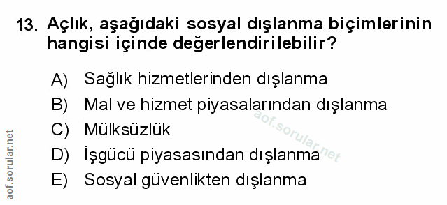Soru 13