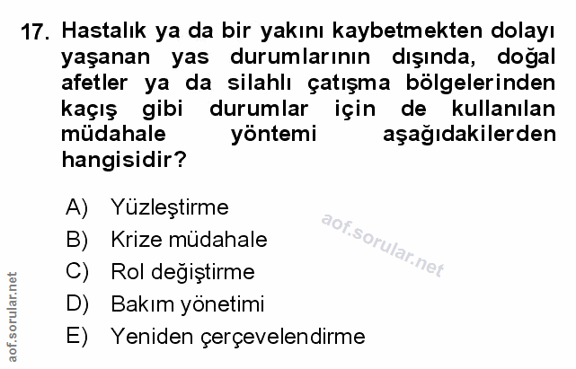 Soru 17