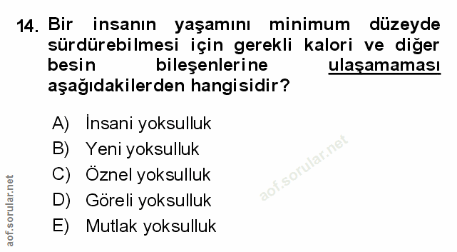 Soru 14