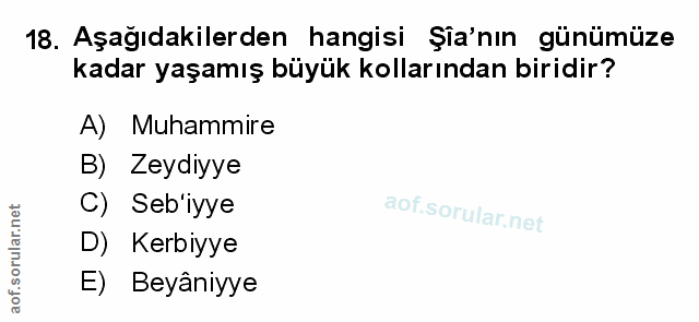 Soru 18