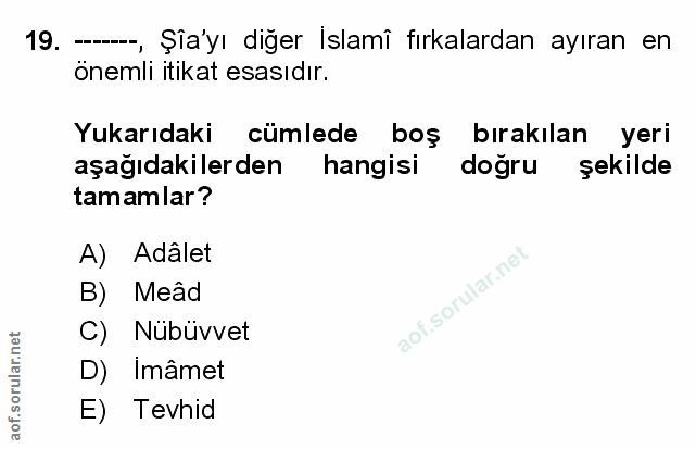 Soru 19