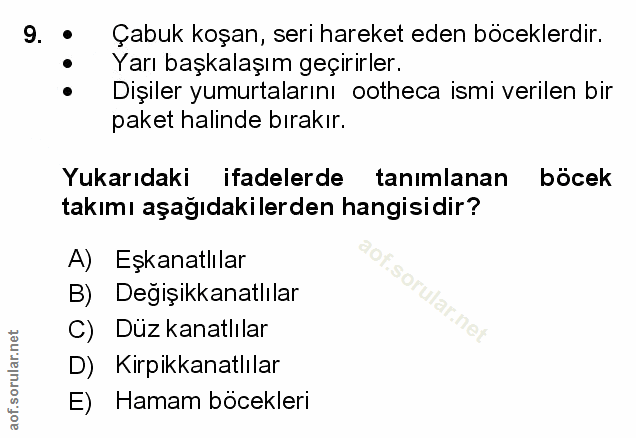 Soru 9