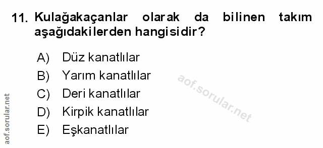 Soru 11