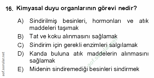 Soru 16