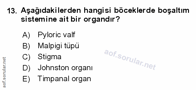 Soru 13