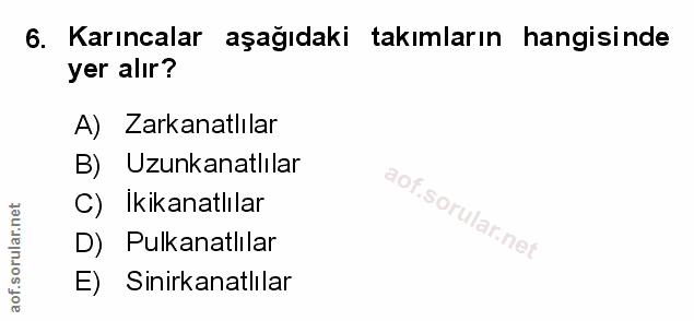 Soru 6