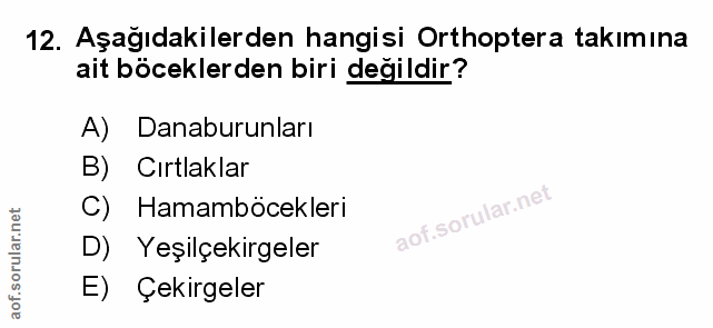Soru 12