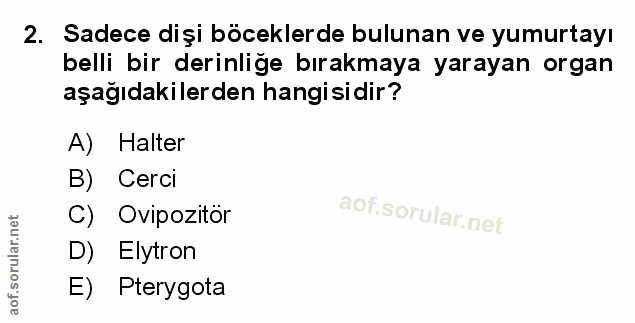 Soru 2