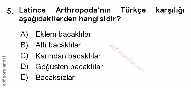 Soru 5