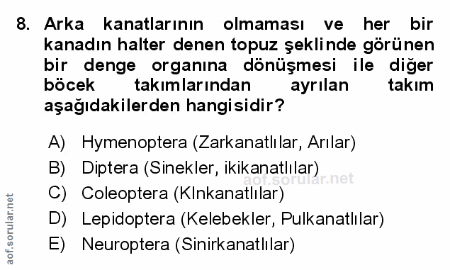 Soru 8
