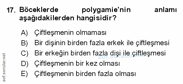 Soru 17