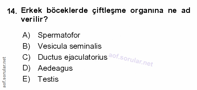 Soru 14