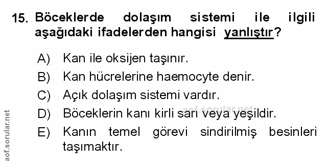 Soru 15