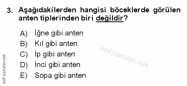 Soru 3