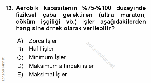 Soru 13