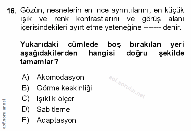 Soru 16