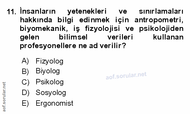 Soru 11