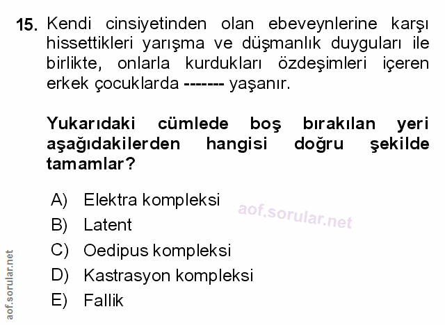Soru 15