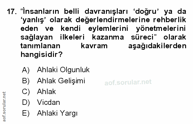 Soru 17